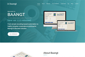 Baangt